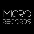 Micro Records