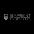 SAPIENT ROBOTS