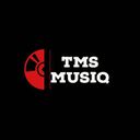 Artwork for artist "TMS MusiQ"