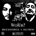 Artwork voor "Wofür?"