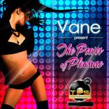 Artwork for "The Power Of Pleasure"