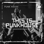 Artwork voor "This Is PunkHouse (Underground Mix)"
