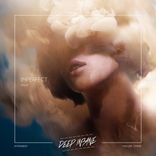 Portada para "Imperfect"