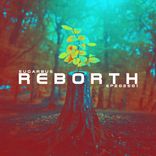 Artwork für "Reborth"