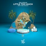 Artwork voor "Little Too Much"