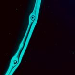 Artwork for "Extreme"