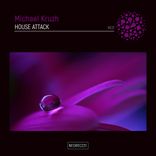 Artwork for "House Attack"