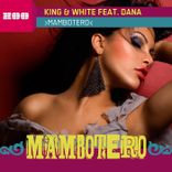 Artwork for "Mambotero"