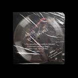 I’m Not Techno, I’m Not From Detroit