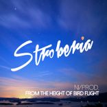 Artwork for "From the Heigh of Birds Flight"