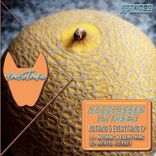 Nothing & Everything