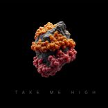 Artwork for "Take Me High"