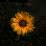 Artwork for "Skyward"