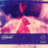 Artwork voor "Lacrimosa"