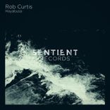 Artwork for "Hayabusa"