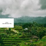 Artwork for "Lost Without You"