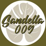 Artwork voor "Paris Versailles"