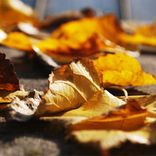 Portada para "Body Glow"