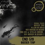 Artwork voor "Boeser Trip"