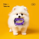 Artwork voor "Take Me"