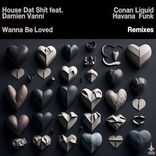 Artwork for "Wanna Be Loved (Conan Liquid and Havana Funk Remixes)"