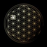 Artwork voor "Goodbye Blue"