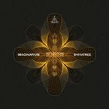 Portada para "Reflections"