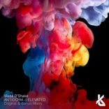 Artwork voor "Antiochia / Elevated"