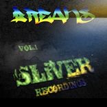 Artwork für "SLiVER Music Breaks, Vol. 1"