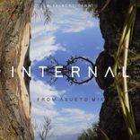 Internal