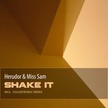 Artwork for "Shake It"