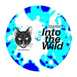 Artwork for "Into the Wild"