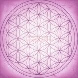 Artwork for "In The H"