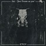 Artwork for "Your Dreams Are Gone"