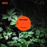 Artwork for "Forest Beams"