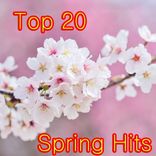 Artwork voor "Top 20 Spring Hits"