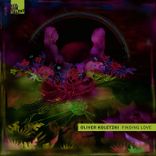 Artwork for "Finding Love"