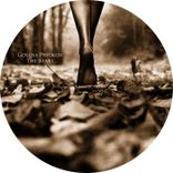 Portada para "The Bears"