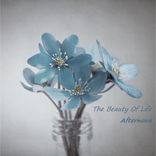 Artwork for "The Beauty Of Life"