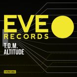 Artwork voor "Altitude"