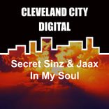 Portada para "In My Soul"