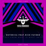 They Know What Is What (WTF)