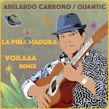 Artwork for "La Piña Madura (Voilaaa Remix)"