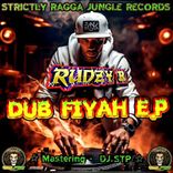 Artwork for "Dub Fyahh"