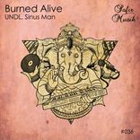 Artwork for "Burned Alive"