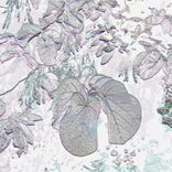 Artwork for "Warmer Days"