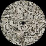 Artwork for "VOY005"