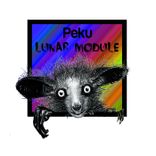 Artwork für "Lunar Module"