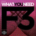 Portada para "What You Need"