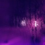 Artwork for "perenne"